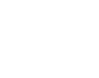 Wraptors Warranty
